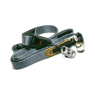 Aenean volutpat rhoncus tortor